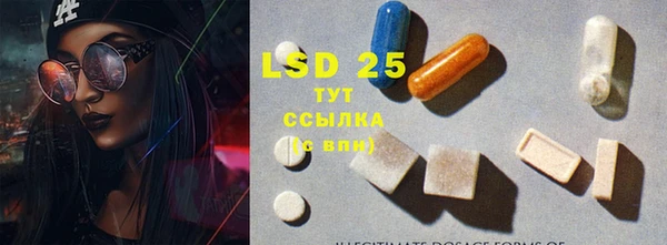apvp Аркадак