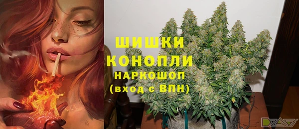 apvp Аркадак