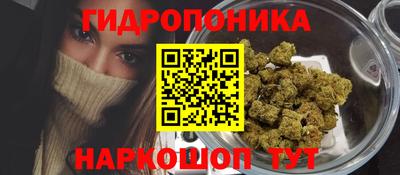 индика Малгобек