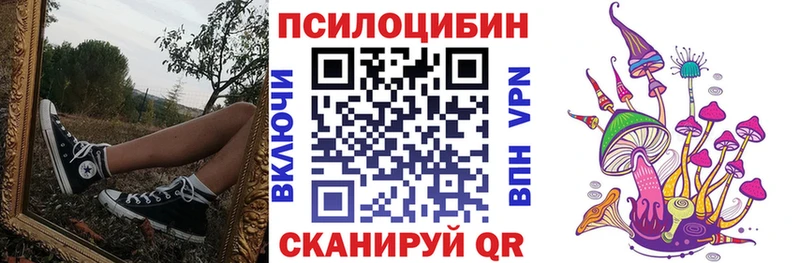 как найти закладки  Чапаевск  Псилоцибиновые грибы Psilocybe 
