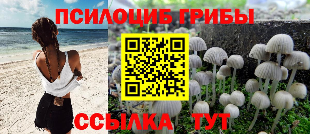 Псилоцибиновые грибы прущие грибы Чапаевск