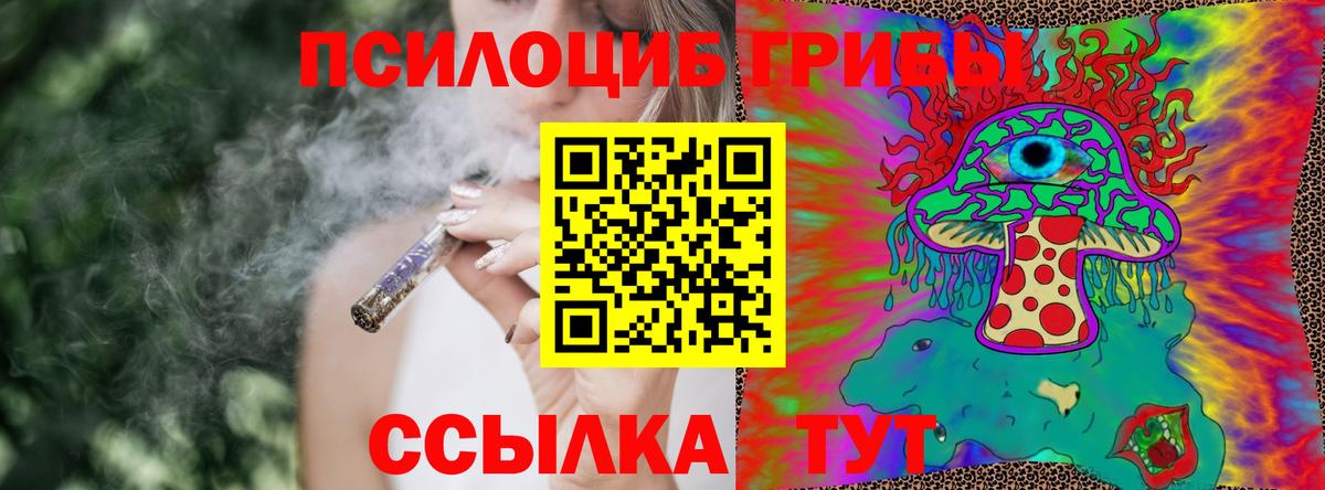 Галлюциногенные грибы MAGIC MUSHROOMS  Вход с VPN  Чапаевск  Псилоцибиновые грибы GOLDEN TEACHER 